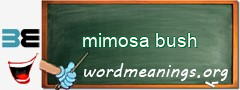 WordMeaning blackboard for mimosa bush